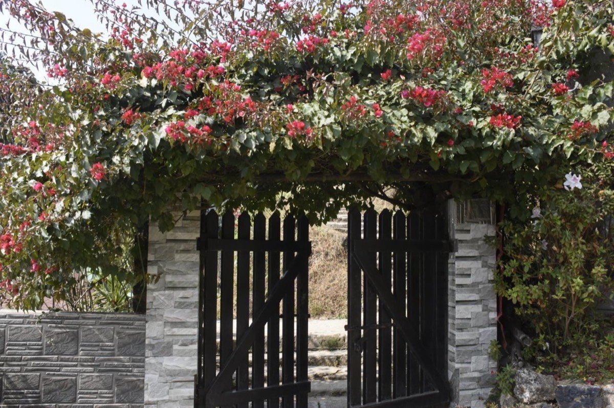 Flower-covered garden entrance at Saino Heritage Bungalow